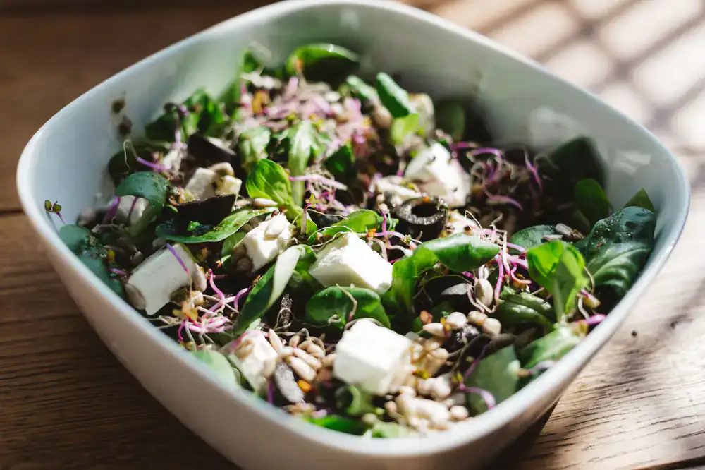 Thick sunflower microgreens